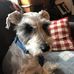 Bo Dewitt - Facebook