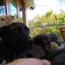 Beau Diddly - Facebook