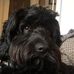 Beau Diddly - Facebook