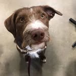 Beau Diddly - @embeaure - Instagram