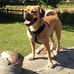 Daisy Bubbles and Beau Diddly - Facebook