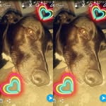 LOVE HUNTING XX - @beaudiddly190 - Instagram