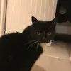 Beau Dorman - @beau.dorman - TikTok