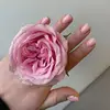 do_beauty - @do_beauty - TikTok