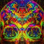 Tim Daugherty - @beau.dougherty777 - Instagram