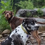 Beau Douglas and River Texas - @beau_n_river - Instagram