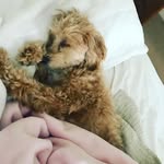 @beau_douglas_xx - Instagram