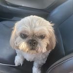 Mr. Beau Downs - @thebeauman2020 - Instagram