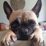 B E A U D E N  🖤 F R U G - @beau_dudley_the_frug - Instagram