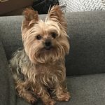 Dudley Beau Jangles - @dudleybeaujangles - Instagram