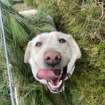 Beau Duffy - Facebook