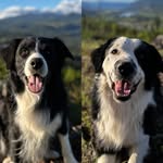 Beau & Duke - @beau.duke9 - Instagram