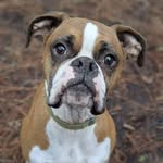 @beau_duke10 - Instagram