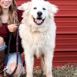 Beau Duke - @southern_beau1 - Instagram
