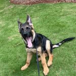 Beau Duke - @beaudukegsd - Instagram