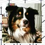 Beau Duke - @my.boy.beau - Instagram