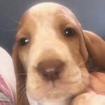 Beau Duke - @mrbeauduke - Instagram