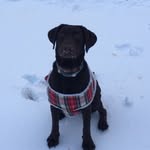 Beau Duke - @extra_dark_chocolate_ - Instagram