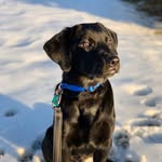 Beau Duke Romine - @beau_duke_thelab - Instagram