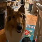 Bryce quisenberry - @beau_duke2021 - Instagram