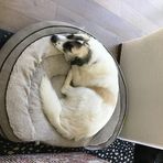 Bo Dunlap - Facebook