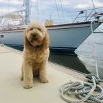 Beau DuRant - @beaudoodledurant - Instagram