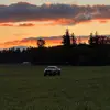 Beau_dye - @that_plati_tacoma - TikTok