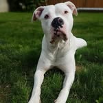Beau Dyer Warburton - @beaudyerwarburton - Instagram