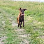 Beau Beck - @beau_beck9873 - Instagram