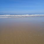 Beau.eckhardt - @beau.eckhardt3 - Instagram