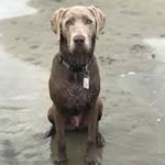 Beau - @beaucephus_edmonds - Instagram