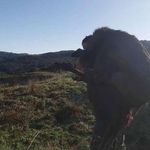 Beau Edwards - @beau.edwards1 - Instagram