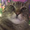 Beau Edwards - @beau.edwards31 - TikTok