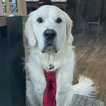 Beau Elder - @belder09 - Instagram