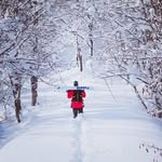Beau Fitzpatrick - @beau_2530 - Instagram