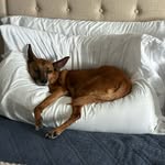 Beau Fleming - @fleming.beau - Instagram