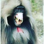 beau george - @_____bweaugweorge_____ - Instagram