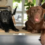 Beau, George, Byron & Geoff - @beau_george_byron_geoffery - Instagram