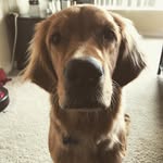 Beau George Quinn - @beaugquinn - Instagram
