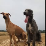 Beau George Summerside - @beaugeorgesummerside - Instagram