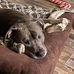 Beau Graham - Facebook