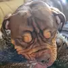 Beau Hodge - @beau.hodge5 - TikTok