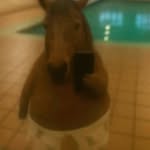 Beauhowe - @beauhowezag - Instagram