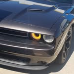 Beau Ingram - @beau_redwolf02 - Instagram