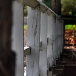 Beau Ingram - @beau_photography4180 - Instagram