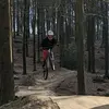 Beaujeff - @beaujeff1 - TikTok