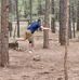 Beau Jensen - Facebook