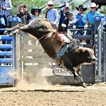 Beau Johnson - @johnson_beau124 - Instagram
