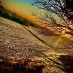 Beau Johnston - @beaujohnston37 - Instagram