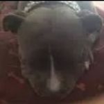 Beau Johnston - @_beau_johnston - Instagram